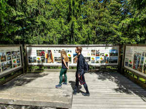 Nová porce adrenalinu na Stezce korunami stromů a výstava fotografií k tomu