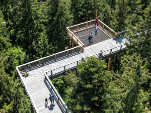 Nová porce adrenalinu na Stezce korunami stromů a výstava fotografií k tomu