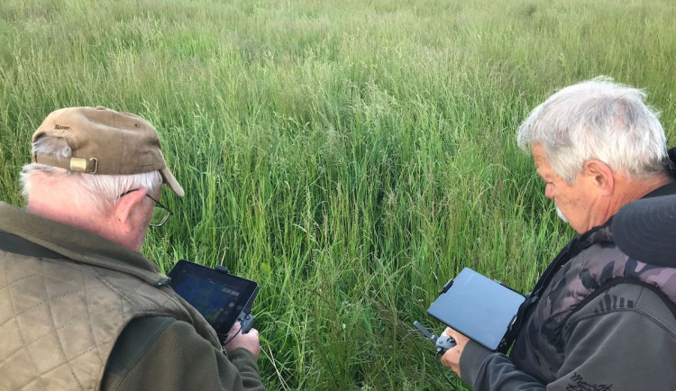 Průzkum luk drony před sečením zachrání na jihu Čech desítky srnčat