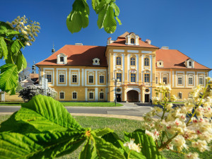 Libor Svacek; box@fotosvacek.cz; Mobile: +420 602428001