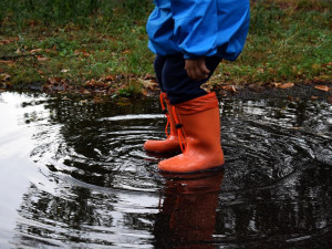 Týden bude zpočátku deštivý, na víkend se vyjasní a oteplí