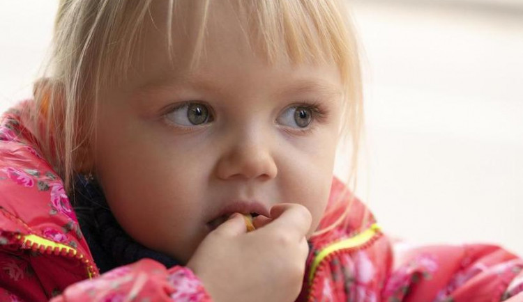 Sušenky pro děti musel prodejce stáhnout z trhu. Jedna ze šarží byla závadná