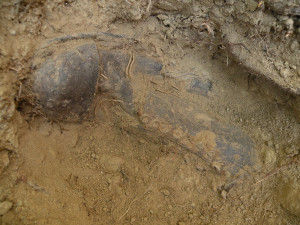 Díky pamětnici našli v pohraničí neoznačený hrob s 12 lidmi. Ostatky přesunou na hřbitov