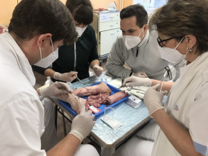 Medici se z Písku nevytratí ani po prázdninách