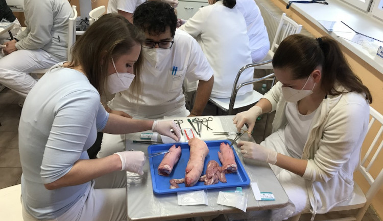 Medici se z Písku nevytratí ani po prázdninách