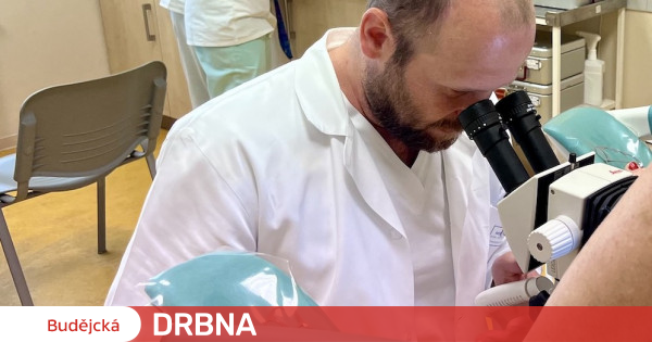 Písecká Hospital opens cervical cancer prevention center Health |  News |  Budějská Drbna