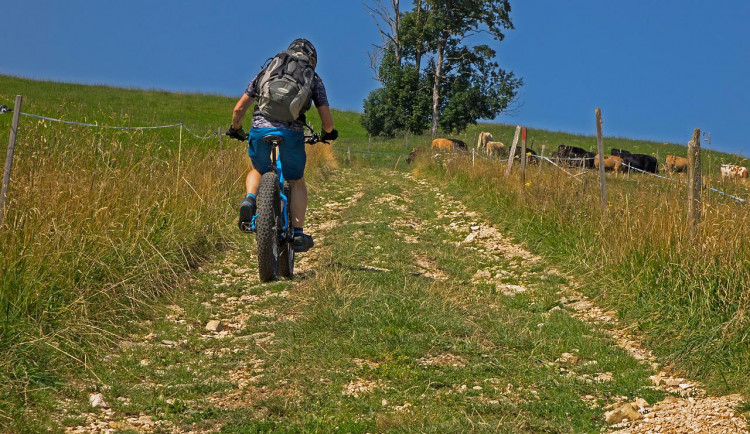 Muž na elektrokole se srazil s cyklistkou a ujel. Žena utrpěla otřes mozku