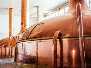 Budějovický Budvar vyvezl do zahraničí 1,3 milionů hektolitrů piva