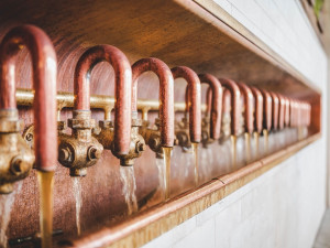 Budějovický Budvar vyvezl do zahraničí 1,3 milionů hektolitrů piva