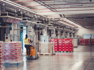 Budějovický Budvar vyvezl do zahraničí 1,3 milionů hektolitrů piva