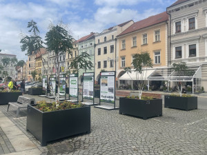 Na budějcké náměstí se vrátily stromy