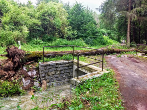 V úterý hasiči odklízeli následky bouře z předešlé noci. Snímek je z Chřešťovic na Písecku.