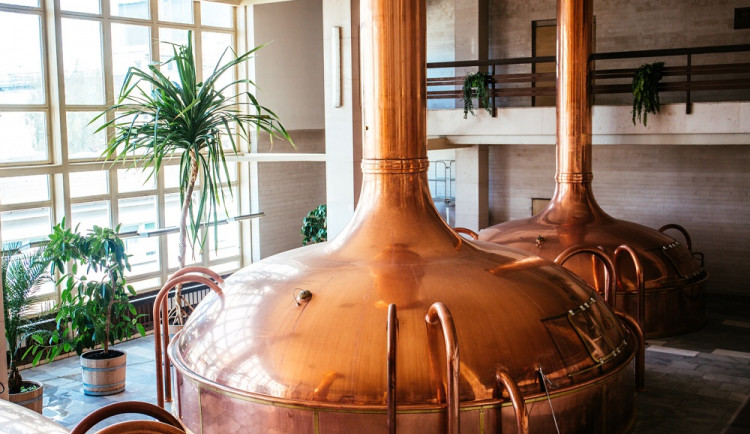 Budějovický Budvar vyvezl do zahraničí 1,3 milionů hektolitrů piva