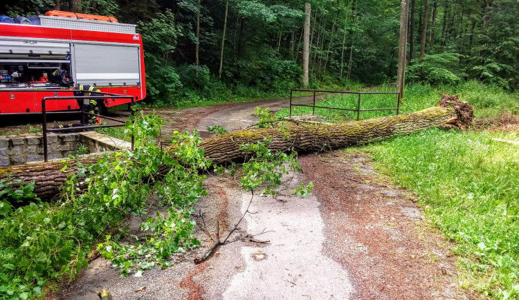 V úterý hasiči odklízeli následky bouře z předešlé noci. Snímek je z Chřešťovic na Písecku.