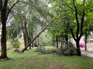 VIDEO: Bouřka poničila oblíbenou alej v Českých Velenicích. Úklid potrvá několik dnů