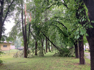 VIDEO: Bouřka poničila oblíbenou alej v Českých Velenicích. Úklid potrvá několik dnů