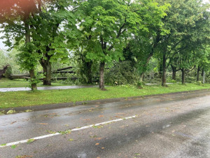 VIDEO: Bouřka poničila oblíbenou alej v Českých Velenicích. Úklid potrvá několik dnů