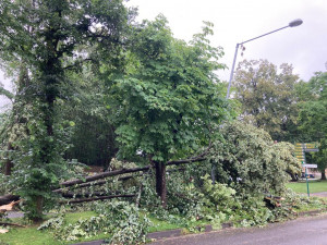 VIDEO: Bouřka poničila oblíbenou alej v Českých Velenicích. Úklid potrvá několik dnů
