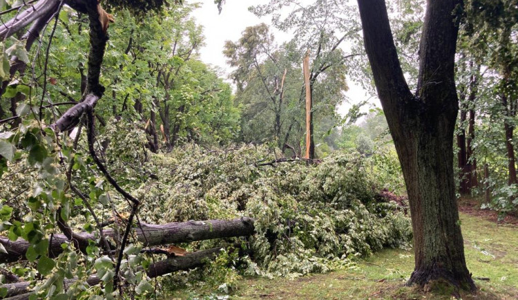 VIDEO: Bouřka poničila oblíbenou alej v Českých Velenicích. Úklid potrvá několik dnů