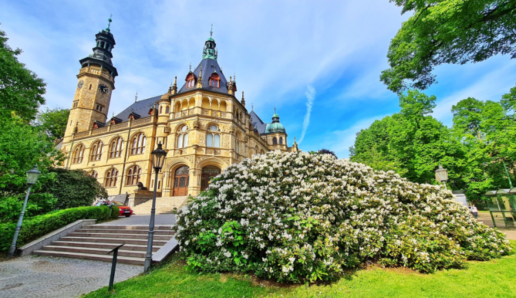 Spor o obnovu parku u Severočeského muzea. Vznikla petice pro jeho zachování, kraj však připomínky zohledňuje