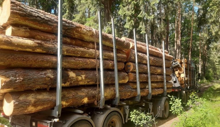 Dva cyklisté na Šumavě surově napadli řidiče kamionu se dřevem. Vadilo jim, že mu musí uhnout z cesty