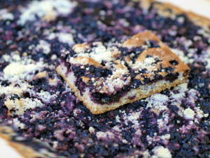 Přijeďte o víkendu na borovanské Borůvkobraní