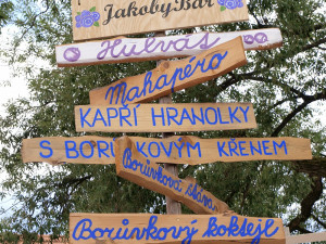 Přijeďte o víkendu na borovanské Borůvkobraní