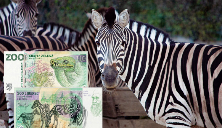 Liberecká zoo nabízí návštěvníkům nový suvenýr v podobě zoobankovky. Zapojily se i další zoo v republice