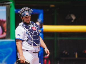 Sokol Hluboká porazil v sérii Olympii Blansko 3:0 na zápasy a Martin Mužík trefil ve dvou domácích utkáních tři  homeruny