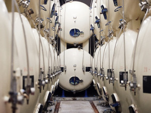 Budějovický Budvar je doma v jižních Čechách, ale slavný po je celém světě.