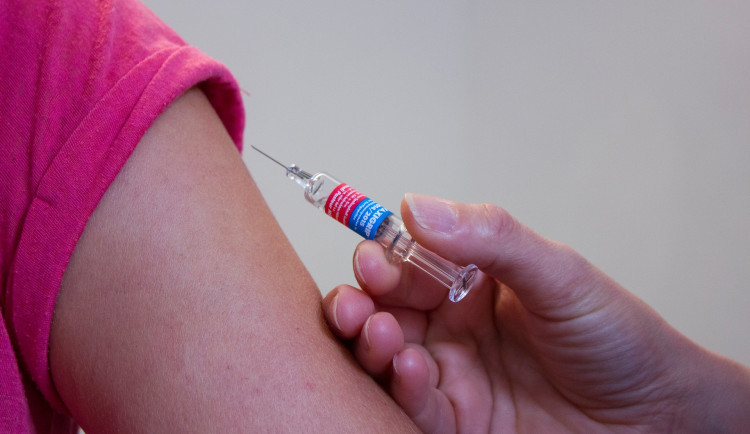 Česko dostane 2800 vakcín proti opičím neštovicím