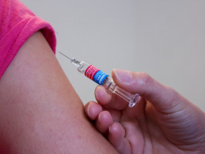 Česko dostane 2800 vakcín proti opičím neštovicím