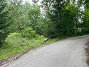 Mladík najel do vypuštěného rybníka. Poté z místa nehody odešel