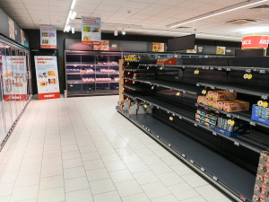 PENNY: „Bez včel bychom přišli o šedesát procent potravin“