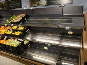 PENNY: „Bez včel bychom přišli o šedesát procent potravin“