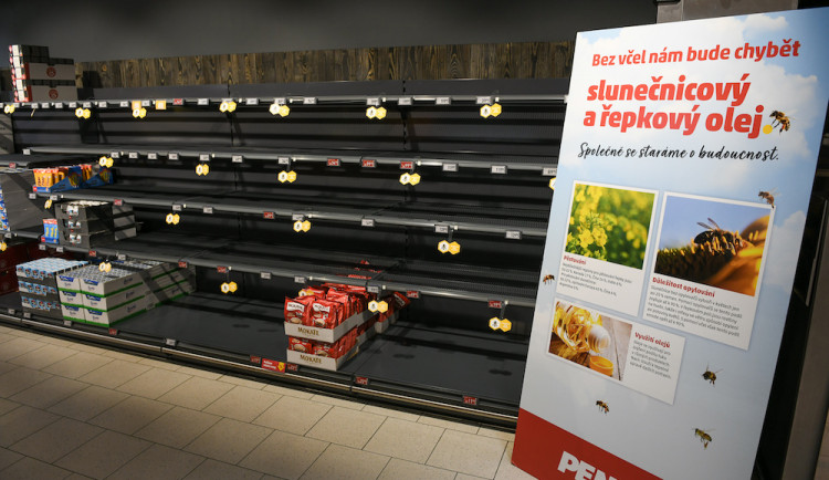 PENNY: „Bez včel bychom přišli o šedesát procent potravin“