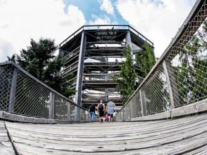 Stezka korunami stromů Lipno slaví první kulatiny. Oslavte je společně s ní i Monikou Absolonovou