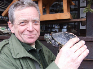 Nezodpovědní majitelé vypouští nechtěné želvy do přírody, nepůvodní plaz představuje velké riziko