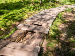 Národní park uzavře Soumarské rašeliniště. Kvůli stavbě
