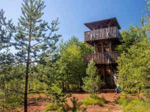 Národní park uzavře Soumarské rašeliniště. Kvůli stavbě