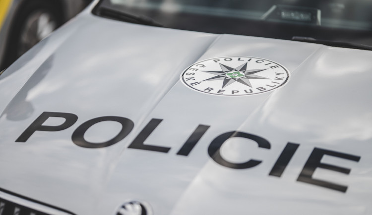 Patnáctiletá dívka odešla z domova a nedala o sobě vědět. Hledala ji policie