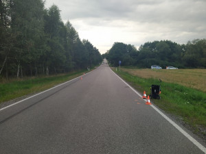 Nepozorný řidič srazil ženu s dětmi. Šly po špatné straně vozovky