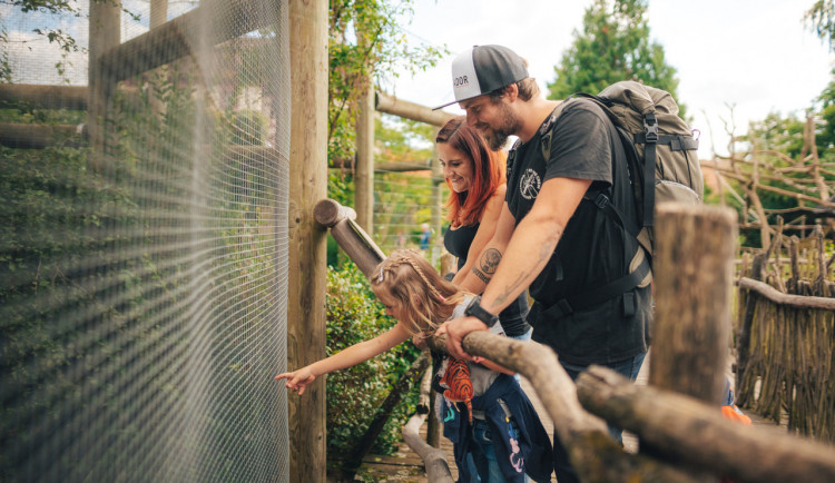 ZOO Hluboká je nejnavštěvovanějším cílem jižních Čech. AJG skokanem roku