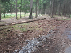 Zloděj ukradl z lesa vytěžené dřevo. Škoda přesáhla 270 tisíc korun