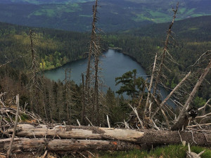 Lesníci těží u Černého a Čertova jezera stromy napadené kůrovcem, turistům doporučují změnu trasy
