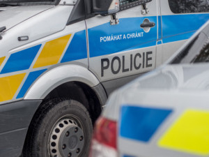 Policisté pátrají po nezletilé dívce z Albrechtic nad Vltavou