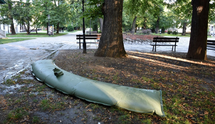 Mohutný jilm v Palackého sadech získává vláhu ze speciálního vaku.