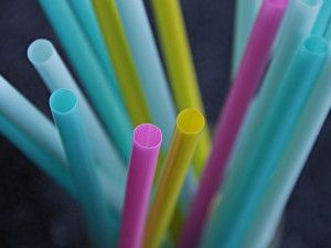 Senát schválil zákaz plastových příborů, talířů nebo brček