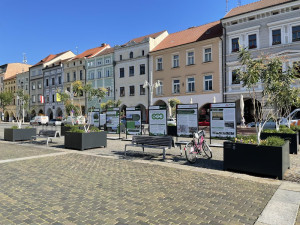 Stromy na náměstí lidi baví. Uvítali by jich klidně víc