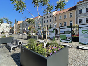 Stromy na náměstí lidi baví. Uvítali by jich klidně víc